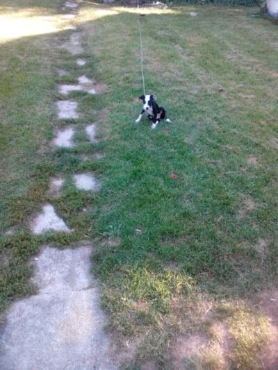 Cook Park - Lima, OH