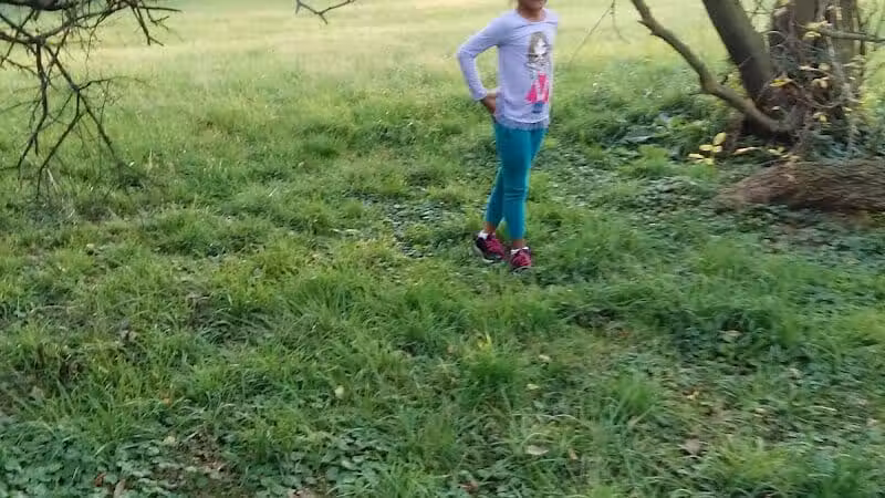 Cook Park - Lima, OH