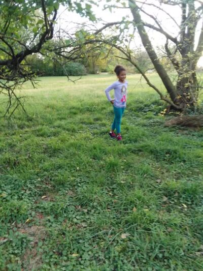 Cook Park - Lima, OH