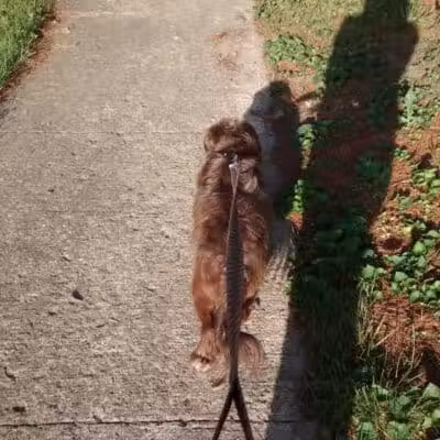 Cook Park - Lima, OH