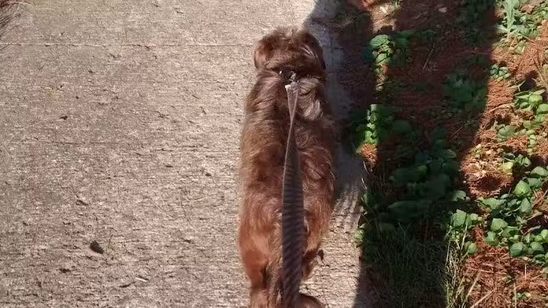 Cook Park - Lima, OH