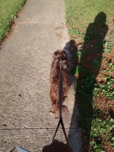 Cook Park - Lima, OH