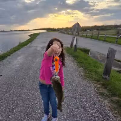 FERGUSON RESERVOIR - Lima, OH