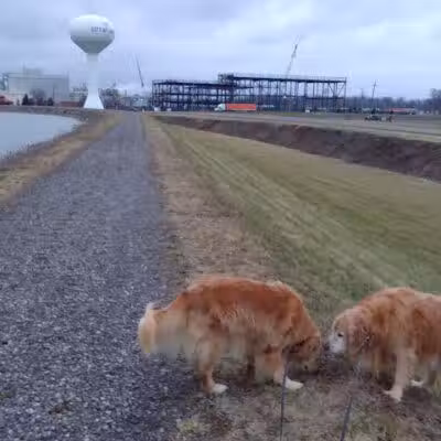 Ferguson Reservoir Park #2 - Lima, OH