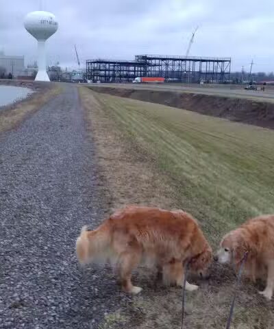 Ferguson Reservoir Park #2 - Lima, OH