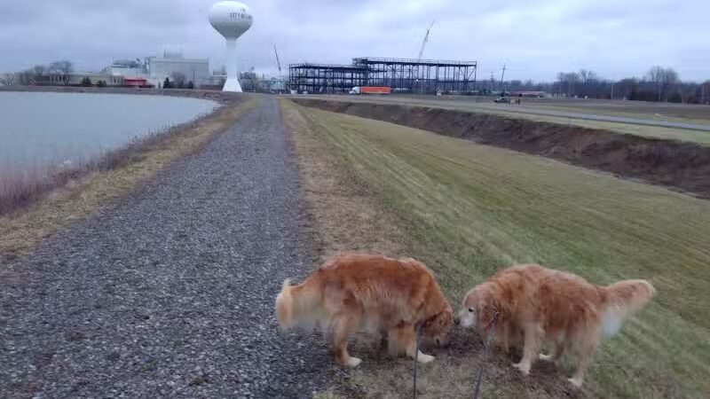 Ferguson Reservoir Park #2 - Lima, OH
