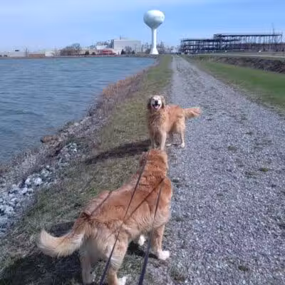 Ferguson Reservoir Park #2 - Lima, OH