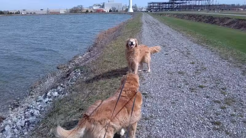 Ferguson Reservoir Park #2 - Lima, OH