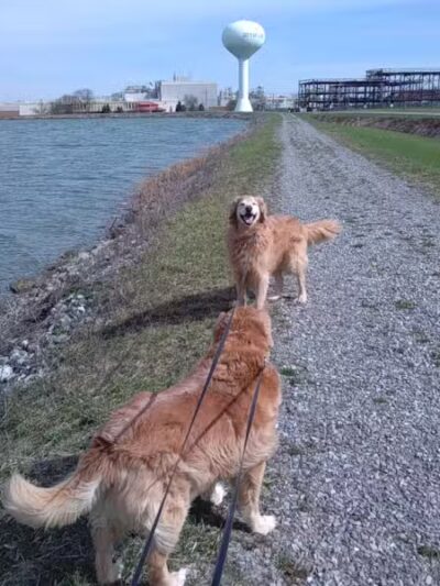 Ferguson Reservoir Park #2 - Lima, OH
