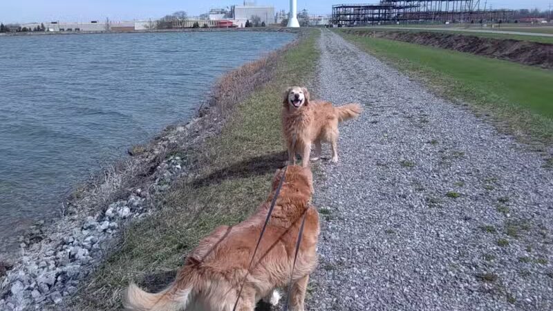 Ferguson Reservoir Park #2 - Lima, OH