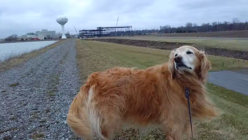 Ferguson Reservoir Park #2 - Lima, OH