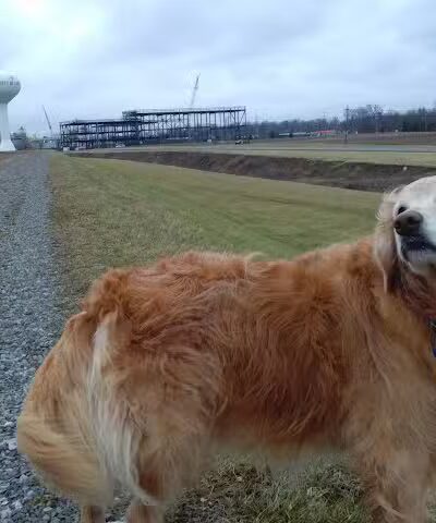 Ferguson Reservoir Park #2 - Lima, OH