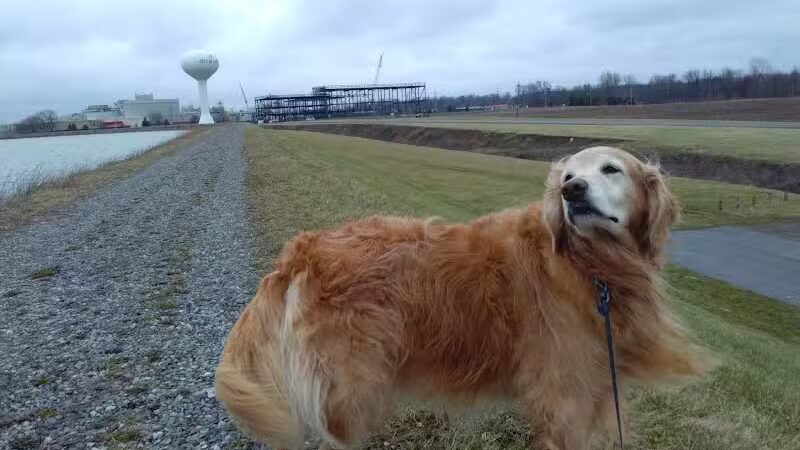 Ferguson Reservoir Park #2 - Lima, OH