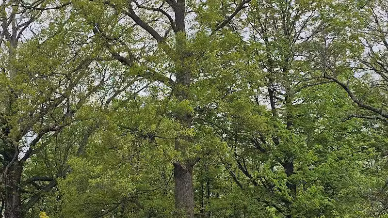 Heritage Park - West End - Lima, OH