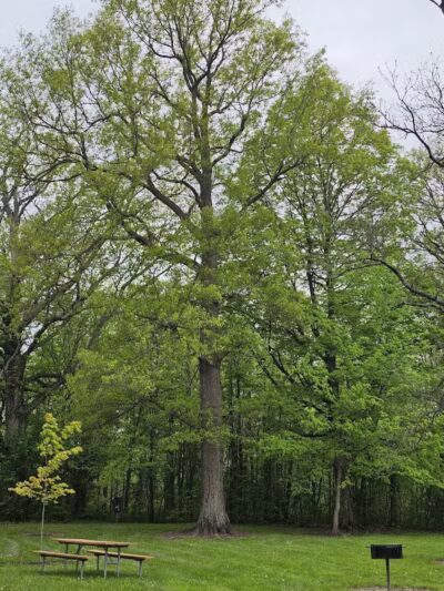 Heritage Park - West End - Lima, OH