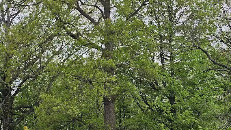 Heritage Park - West End - Lima, OH