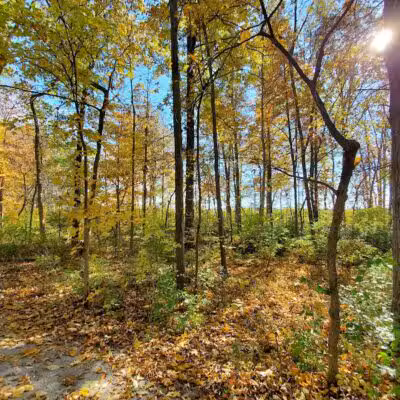 Hermon Woodlands - Lima, OH