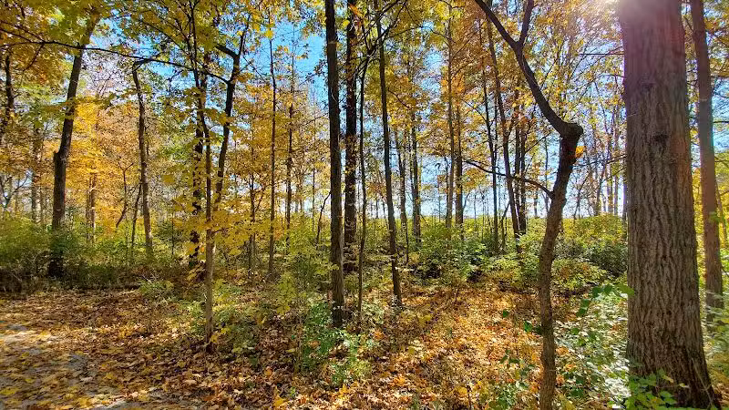 Hermon Woodlands - Lima, OH