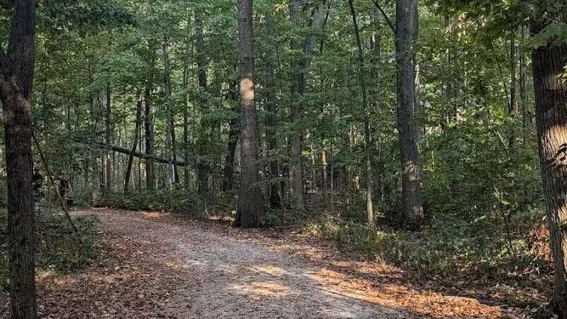 Hermon Woodlands - Lima, OH