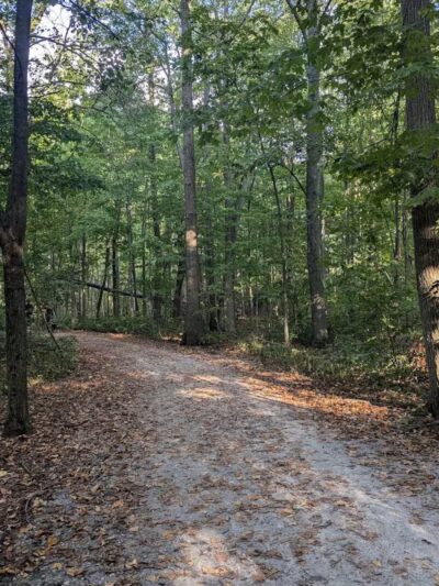 Hermon Woodlands - Lima, OH