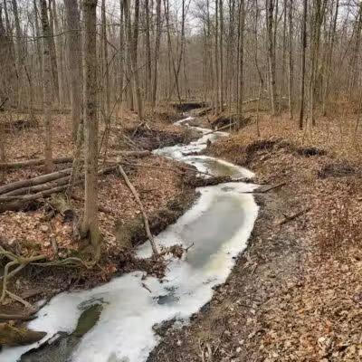 Hermon Woodlands - Lima, OH