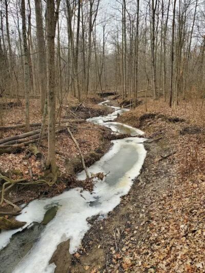 Hermon Woodlands - Lima, OH