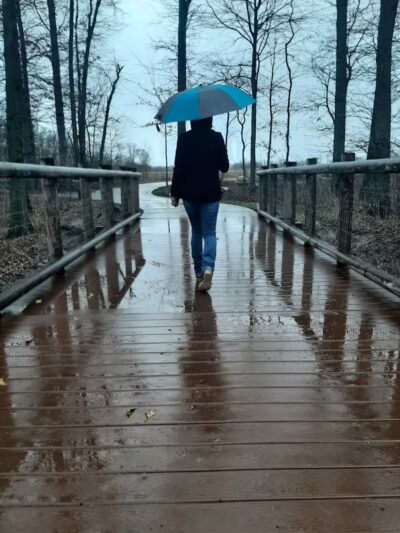 Johnny Appleseed Hermon Woodland - Lima, OH