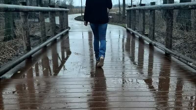 Johnny Appleseed Hermon Woodland - Lima, OH