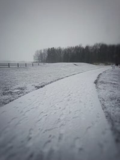 Johnny Appleseed Hermon Woodland - Lima, OH