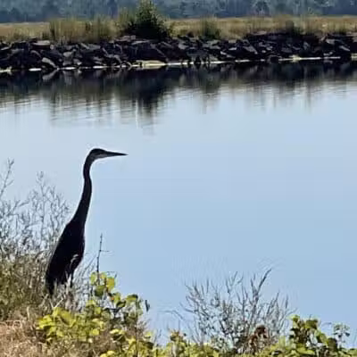 Lima Bresler Reservoir - Lima, OH
