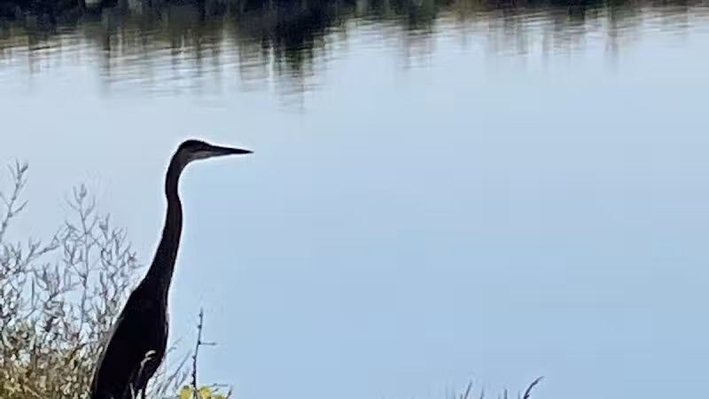 Lima Bresler Reservoir - Lima, OH