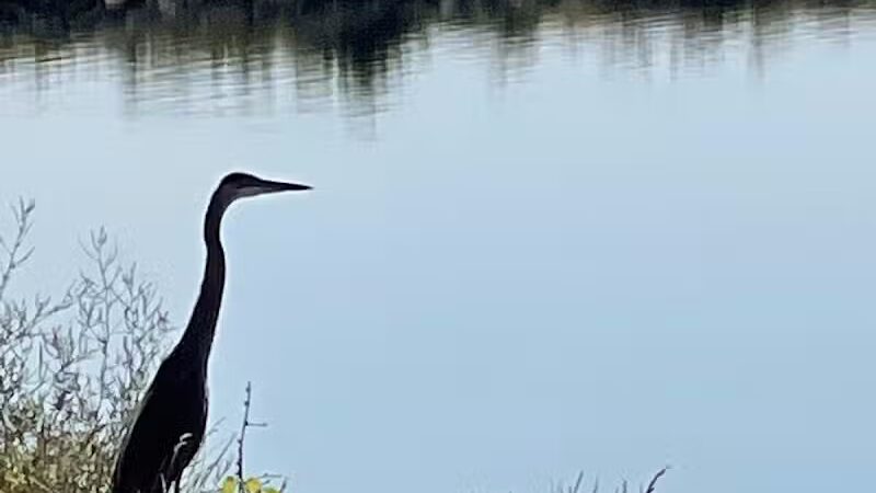Lima Bresler Reservoir - Lima, OH