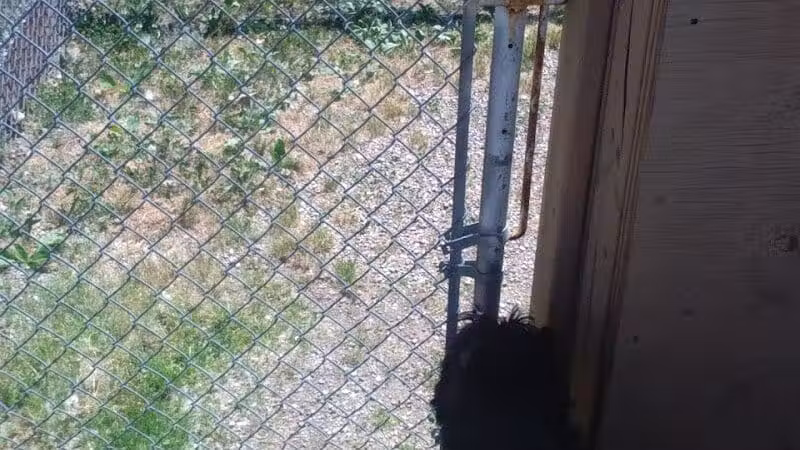 Lima Dog Park - Lima, OH