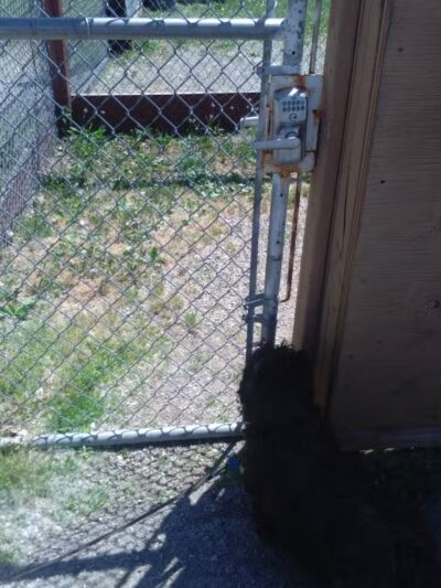 Lima Dog Park - Lima, OH