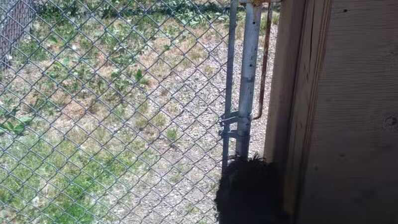 Lima Dog Park - Lima, OH