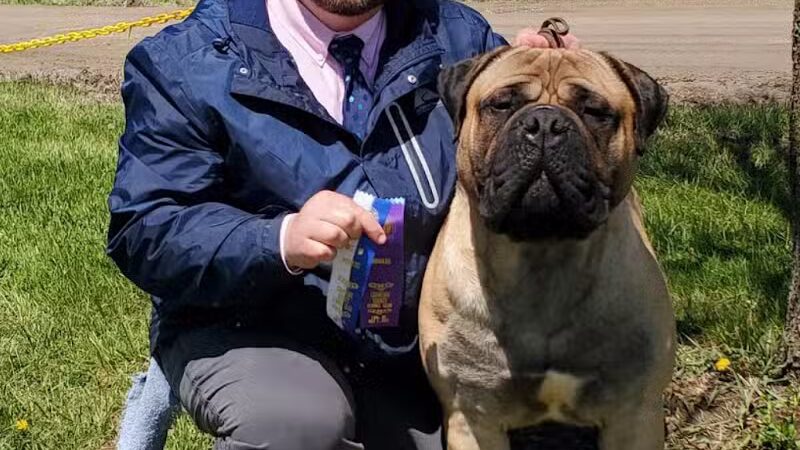 Lima Kennel Club Show Grounds - Lima, OH