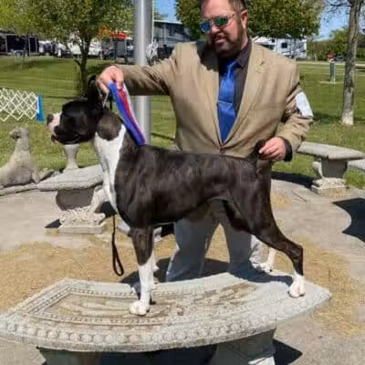 Lima Kennel Club Show Grounds - Lima, OH