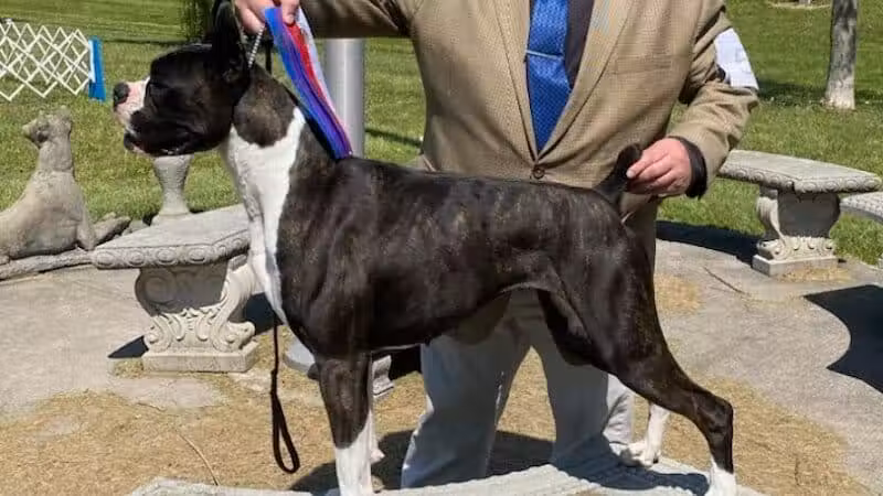 Lima Kennel Club Show Grounds - Lima, OH