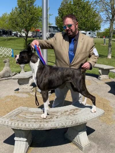 Lima Kennel Club Show Grounds - Lima, OH