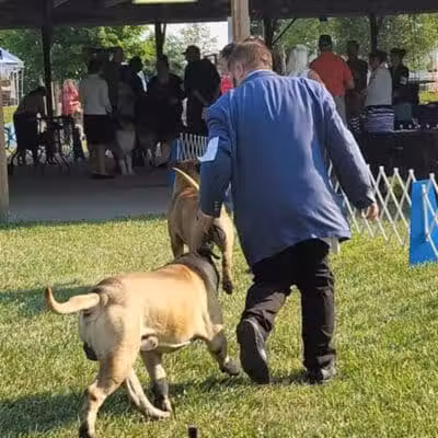 Lima Kennel Club Show Grounds - Lima, OH