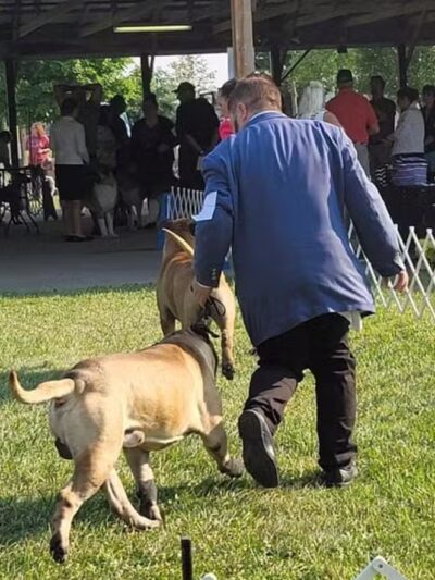 Lima Kennel Club Show Grounds - Lima, OH