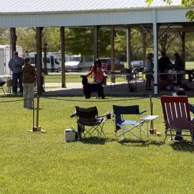 Lima Kennel Club Show Grounds - Lima, OH