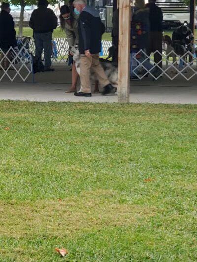 Lima Kennel Club Show Grounds - Lima, OH