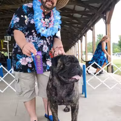 Lima Kennel Club Show Grounds - Lima, OH