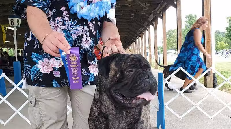 Lima Kennel Club Show Grounds - Lima, OH