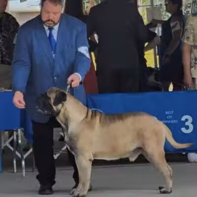 Lima Kennel Club Show Grounds - Lima, OH