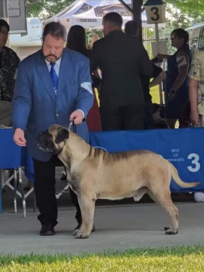 Lima Kennel Club Show Grounds - Lima, OH