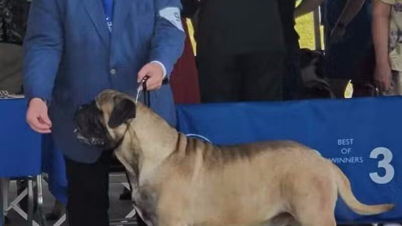 Lima Kennel Club Show Grounds - Lima, OH