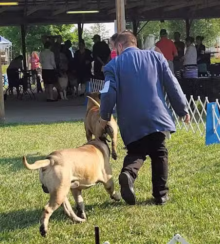 Lima Kennel Club Show Grounds - Lima, OH