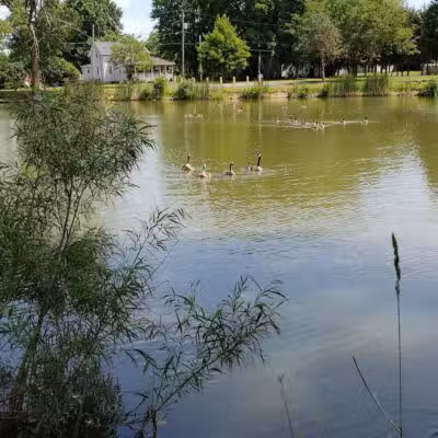 Lima Park & Recreation Division - Lima, OH